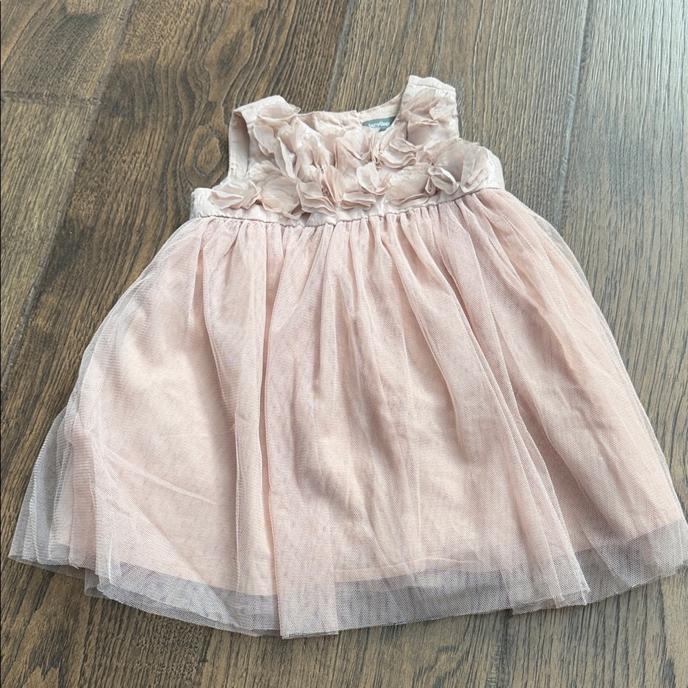 GAP Baby Blush Dress with Floral Details